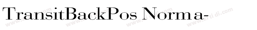TransitBackPos Norma字体转换